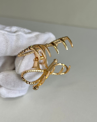 Claw Clip 02
